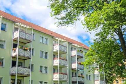 Wohnung Zwickau Marienthal - 2 Zimmer, 49 m&sup2;, 319&euro; | Angebot:27350477