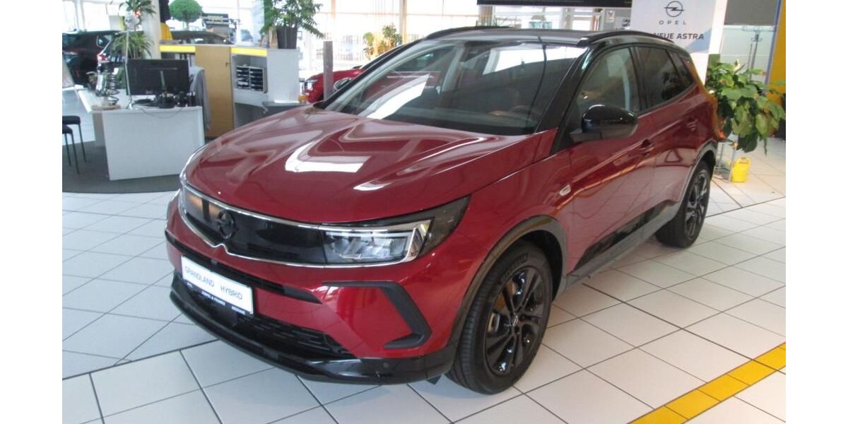 Opel Grandland (X) 20.000 km 22.950 &euro; Schneeberg 08289