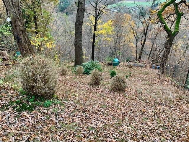 Einfamilienhaus Mylau Mylau - 5 Zimmer, 123 m&sup2;, 139.000&euro; | Angebot:25938997