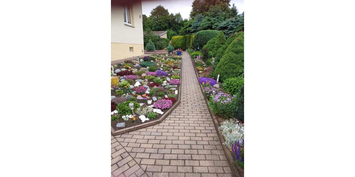 Einfamilienhaus Glauchau - 6 Zimmer, 125 m&sup2;, 250.000&euro; | Angebot:25286220