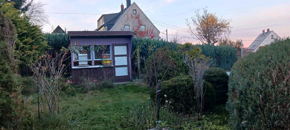 Einfamilienhaus Netzschkau - 3 Zimmer, 55 m&sup2;, 67.000&euro; | Angebot:23425940