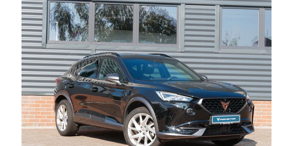 Cupra Formentor 18.890 km 28.990 &euro; Schneeberg 08289