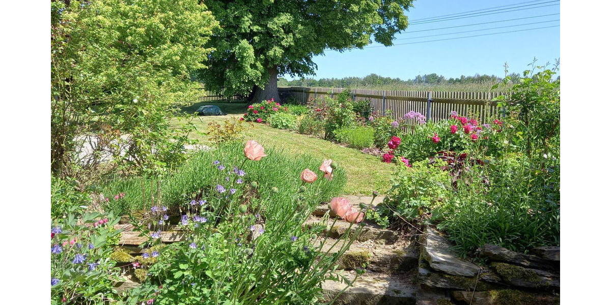 Einfamilienhaus St. Egidien - 1 Zimmer, 329 m&sup2;, 530.000&euro; | Angebot:26015835