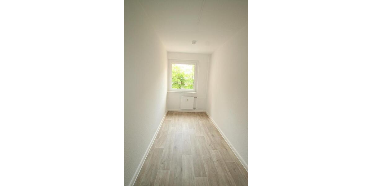 Etagenwohnung Oberlungwitz - 3 Zimmer, 56 m&sup2;, 316&euro; | Angebot:24662158