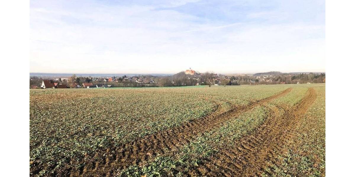 Grundstück Lichtentanne Schönfels - 45.000&euro; | Angebot:25678793