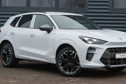 Cupra Terramar 9.000 km 38.990 &euro; Schneeberg 08289