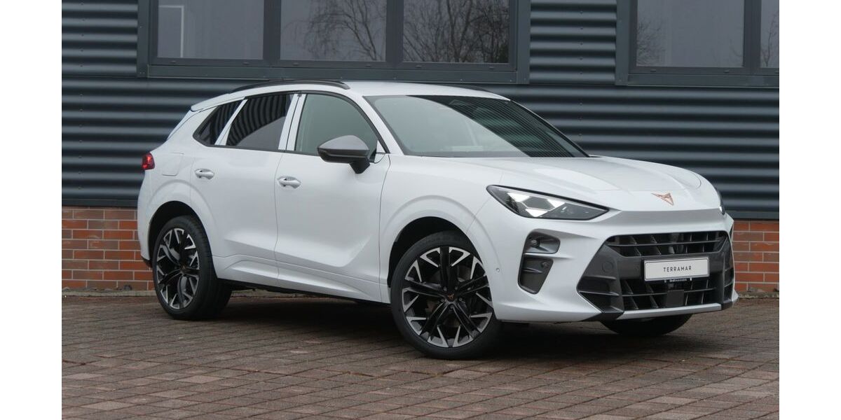 Cupra Terramar 9.000 km 38.990 &euro; Schneeberg 08289