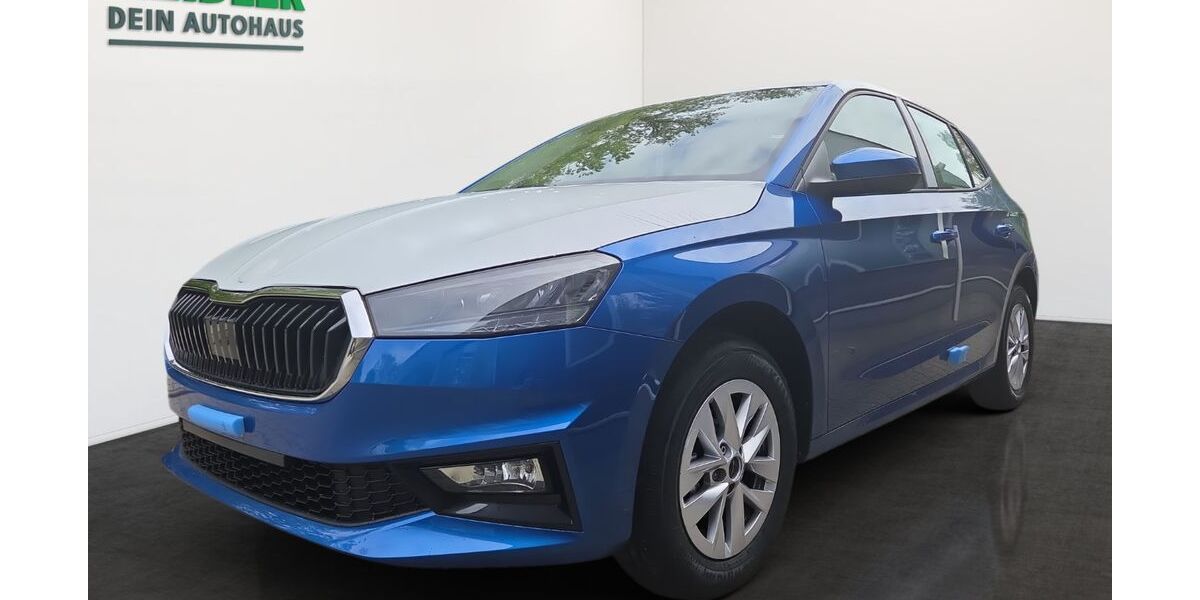 Skoda Fabia 1.001 km 18.150 &euro; Mylau 08499
