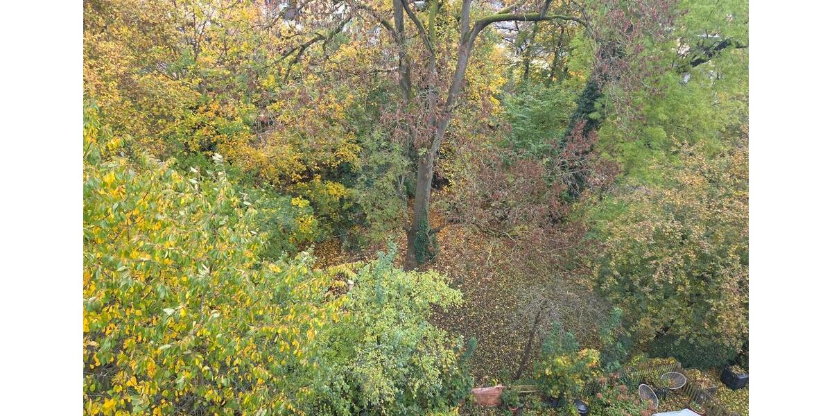 Mehrfamilienhaus, Wohnhaus Hohenstein-Ernstthal Ernstthal - 12 Zimmer, 250 m&sup2;, 27.950&euro; | Angebot:23251524