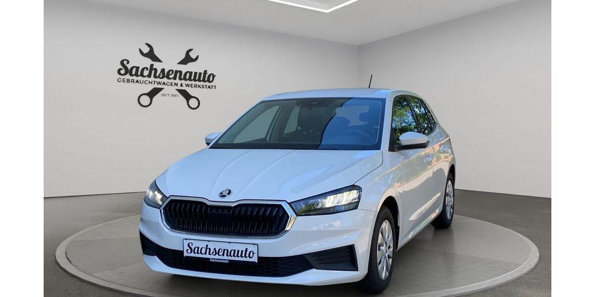 Skoda Fabia 100.700 km 11.900 &euro; Hartenstein 08118