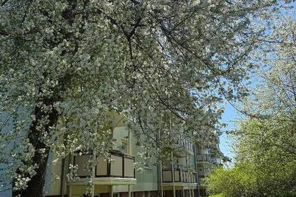 Wohnung Wilkau-Haßlau Haßlau - 2 Zimmer, 52 m&sup2;, 338&euro; | Angebot:26296737