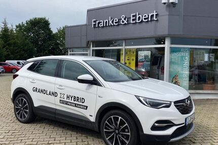 Opel Grandland (X) 35.000 km 18.990 &euro; Reinsdorf 08141