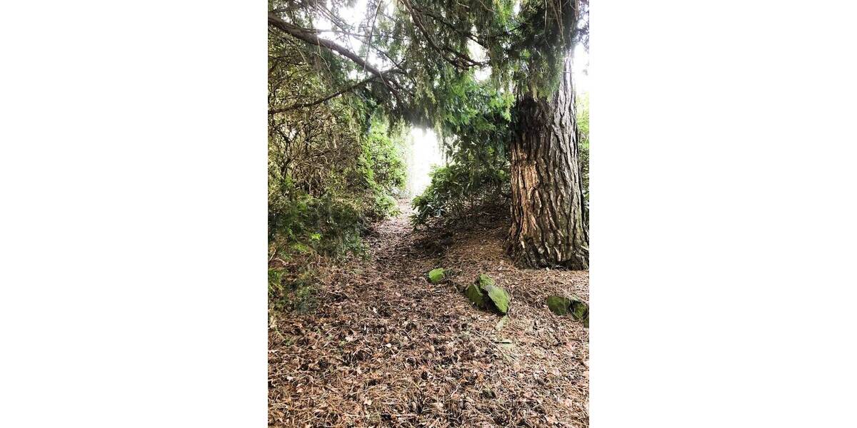 Grundstück Lichtentanne Schönfels - 45.000&euro; | Angebot:25678793