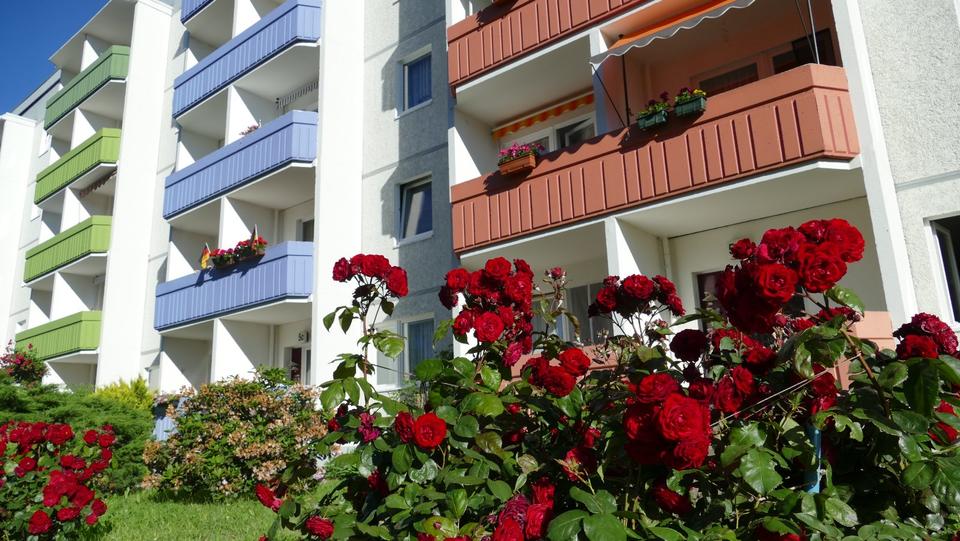 Etagenwohnung Limbach-Oberfrohna Oberfrohna - 3 Zimmer, 55 m&sup2;, 294&euro; | Angebot:20301514