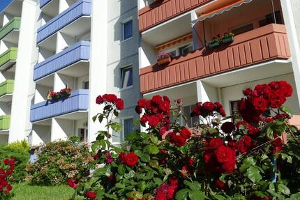 Wohnung Limbach-Oberfrohna Oberfrohna - 3 Zimmer, 55 m&sup2;, 294&euro; | Angebot:20301514