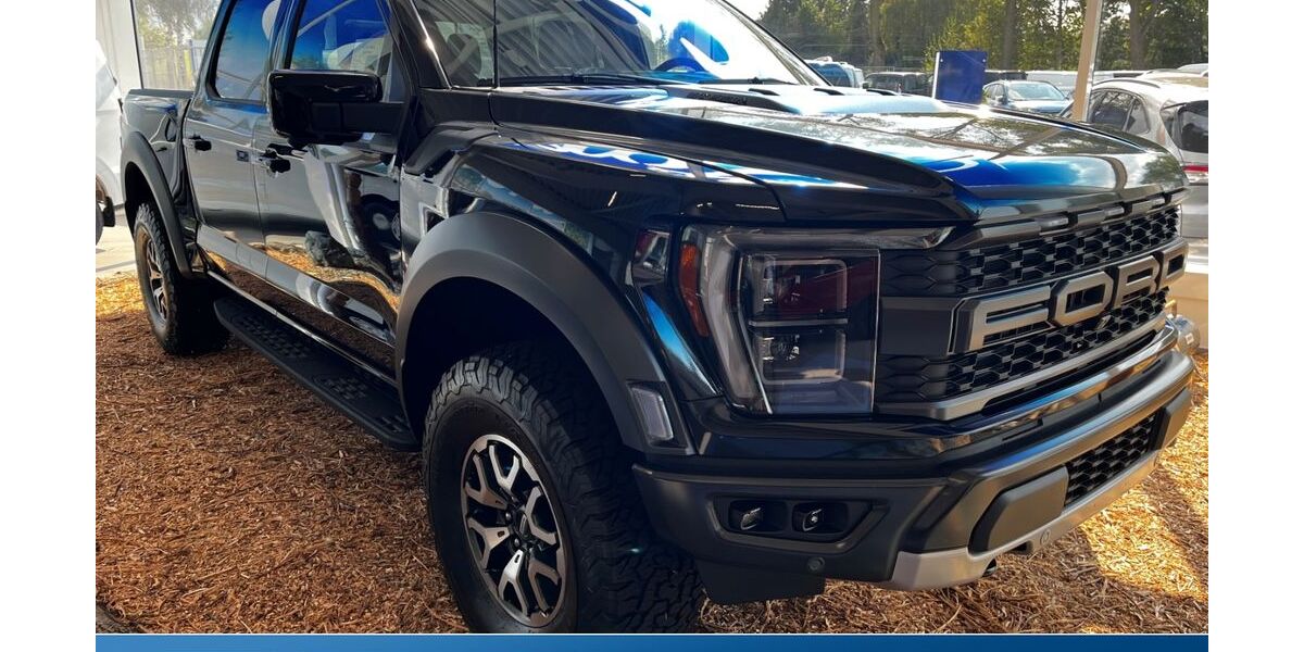 Ford F 150 1.500 km 139.990 &euro; Glauchau 08371