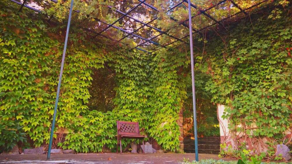 Gewerbeobjekt Schwarzenberg - 1 Zimmer, 790.000&euro; | Angebot:25747147