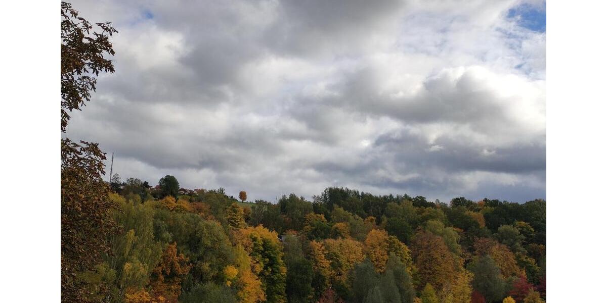 Etagenwohnung Auerbach/Vogtland Vogtland - 4 Zimmer, 100 m&sup2;, 630&euro; | Angebot:25158468