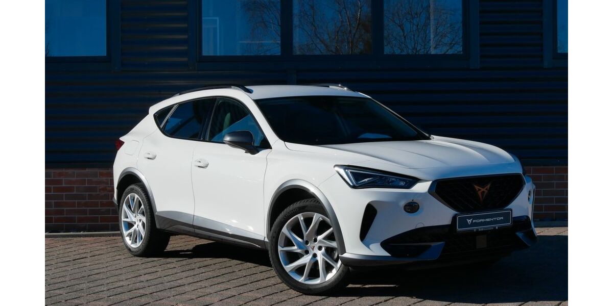 Cupra Formentor 37.690 km 19.999 &euro; Schneeberg 08289