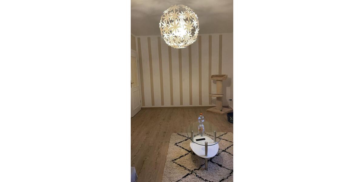 Etagenwohnung Zwickau Zwickau-Nord - 2 Zimmer, 64 m&sup2;, 360&euro; | Angebot:24653538