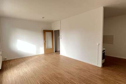 Wohnung Zwickau Neuplanitz - 1 Zimmer, 41 m&sup2;, 199&euro; | Angebot:23580569