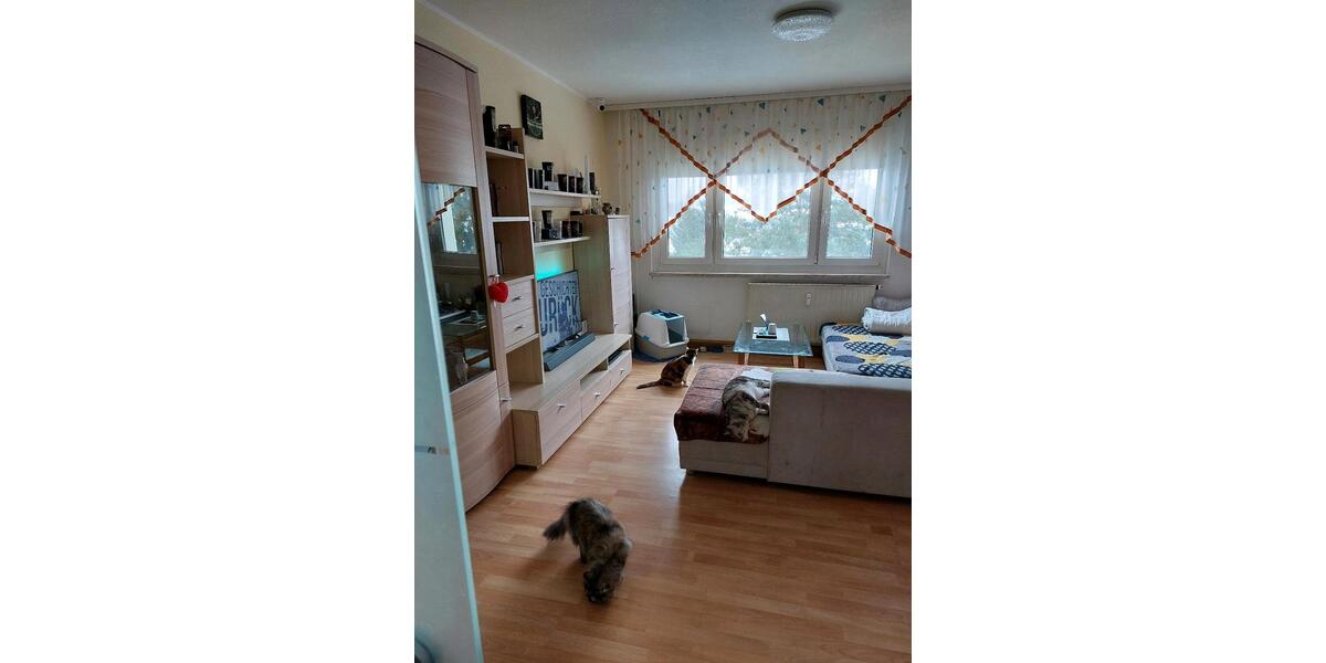 Etagenwohnung Falkenstein/Vogtland Vogtland - 2 Zimmer, 47 m&sup2;, 40.700&euro; | Angebot:24484454