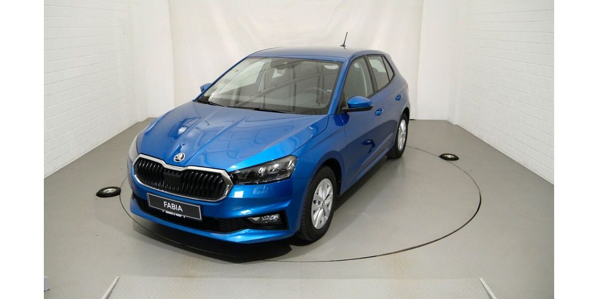 Skoda Fabia 3.050 km 19.490 &euro; Schneeberg 08289