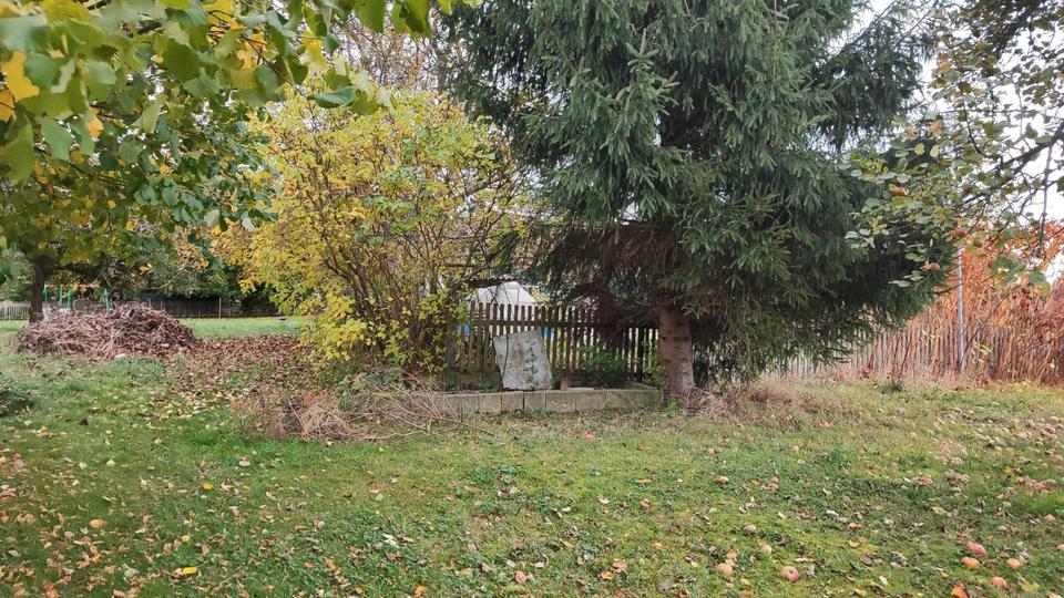 Mehrfamilienhaus, Wohnhaus Langenleuba-Niederhain Niederhain - 7 Zimmer, 165 m&sup2;, 129.999&euro; | Angebot:24394412