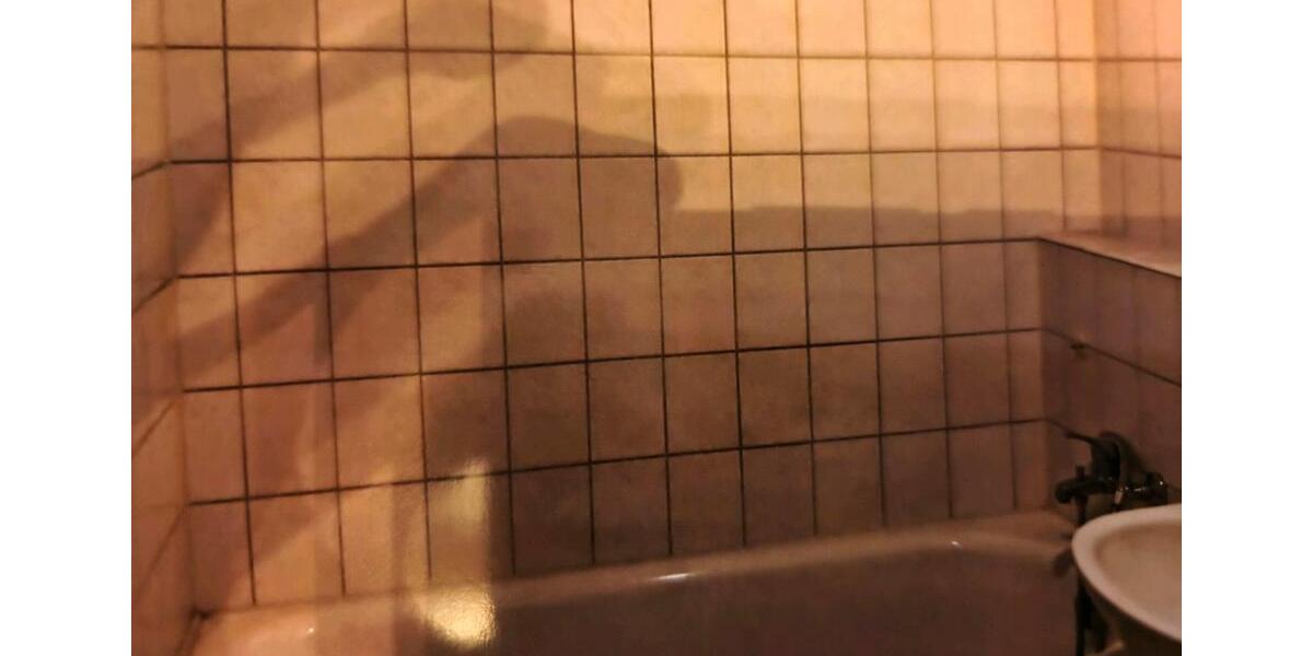 Etagenwohnung Werdau - 1 Zimmer, 39 m&sup2;, 280&euro; | Angebot:24419311