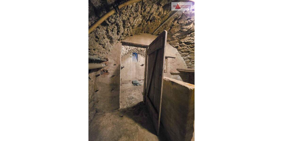 Mehrfamilienhaus, Wohnhaus Schneeberg Neustädtel - 1 Zimmer, 235 m&sup2;, 239.000&euro; | Angebot:25801778