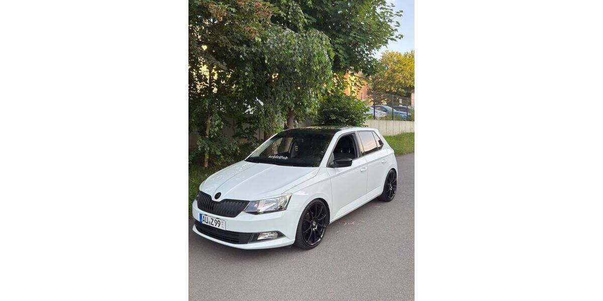 Skoda Fabia 69.700 km 10.999 &euro; Lauter 08315
