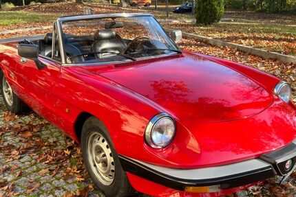 Alfa Romeo Spider 88.900 km 13.990 &euro; Hohenstein Er. 09337