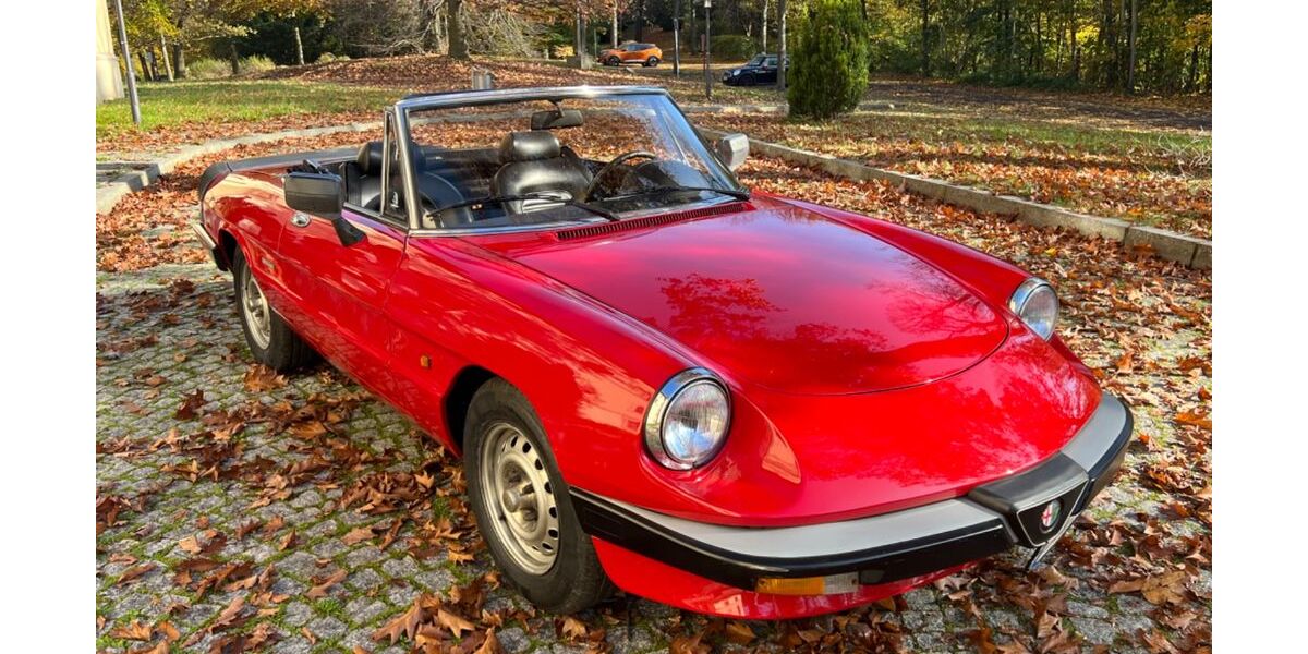 Alfa Romeo Spider 88.900 km 13.990 &euro; Hohenstein Er. 09337