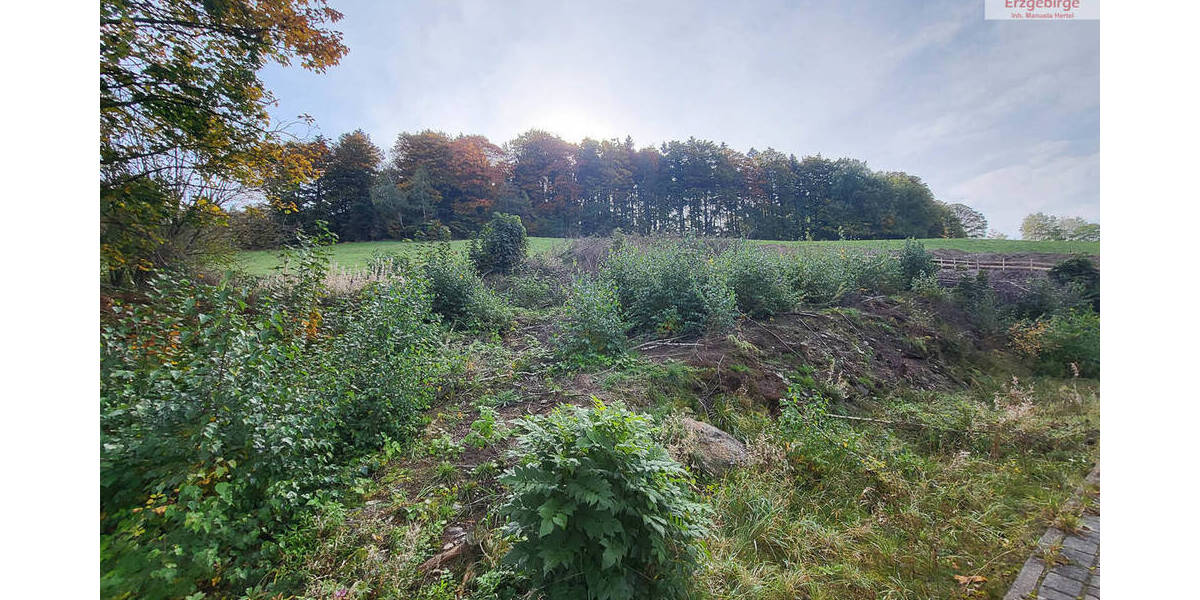 Grundstück Bockau - 62.500&euro; | Angebot:25744551