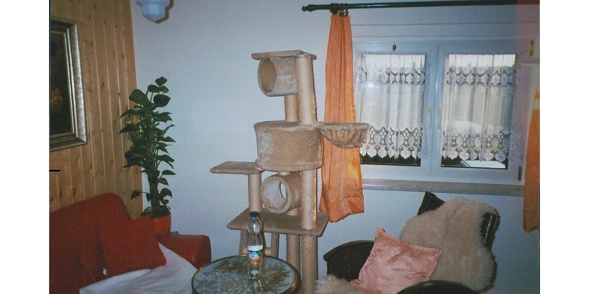 Zwickau, EFH - Einfamilienhaus Zwickau | Angebot:18333578