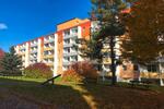 Etagenwohnung Aue-Bad Schlema Bad Schlema - 3 Zimmer, 58 m&sup2;, 303&euro; | Angebot:26295100