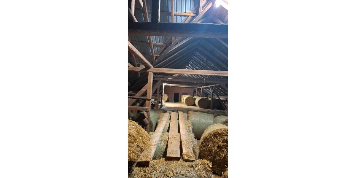 Bauernhaus, Landhaus Elsterberg - 10 Zimmer, 180 m&sup2;, 230.000&euro; | Angebot:25369880