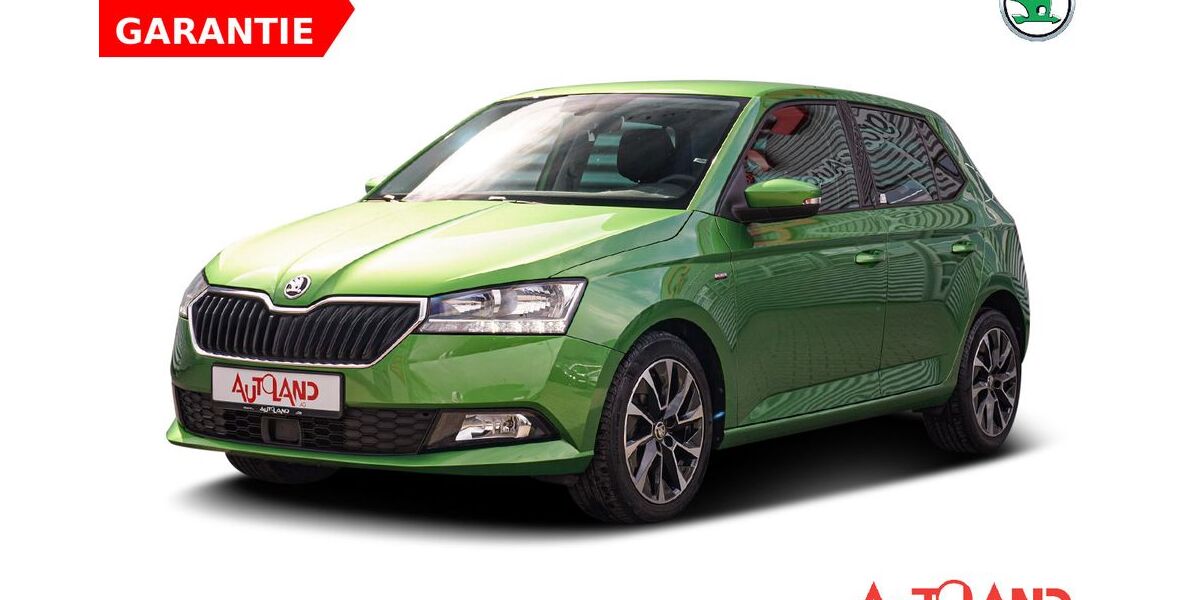 Skoda Fabia 36.541 km 15.950 &euro; Zwickau 08056