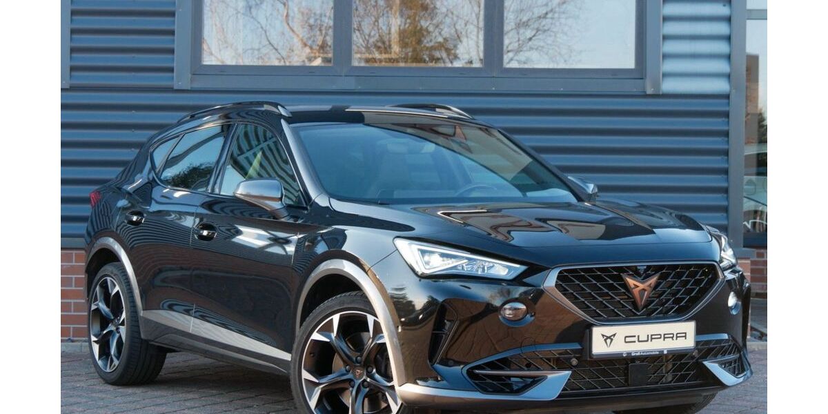 Cupra Formentor 41.996 km 32.990 &euro; Schneeberg 08289