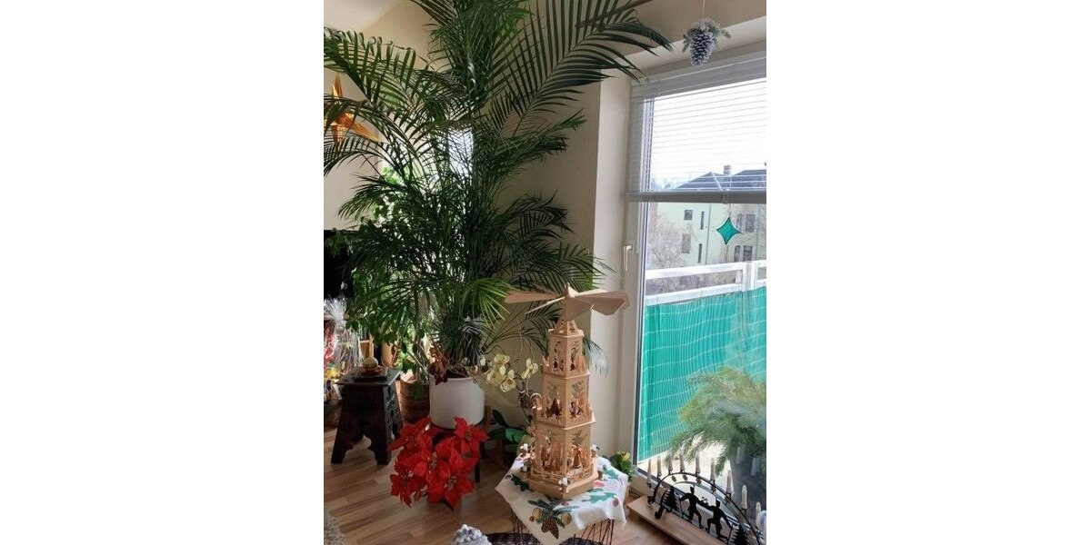 TOP GEPFLEGTE 2-Zi Wohnung mit großem BALKON und Aufzug - Etagenwohnung Zwickau | Angebot:27334139