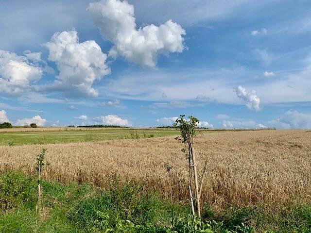 Mehrfamilienhaus, Wohnhaus Treuen Eich - 6 Zimmer, 237 m&sup2;, 65.000&euro; | Angebot:25741447