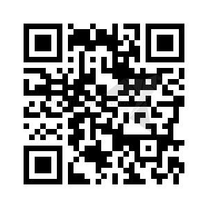 Etagenwohnung Zwickau - 2 Zimmer, 63 m&sup2;, 379&euro; | Angebot:19739814