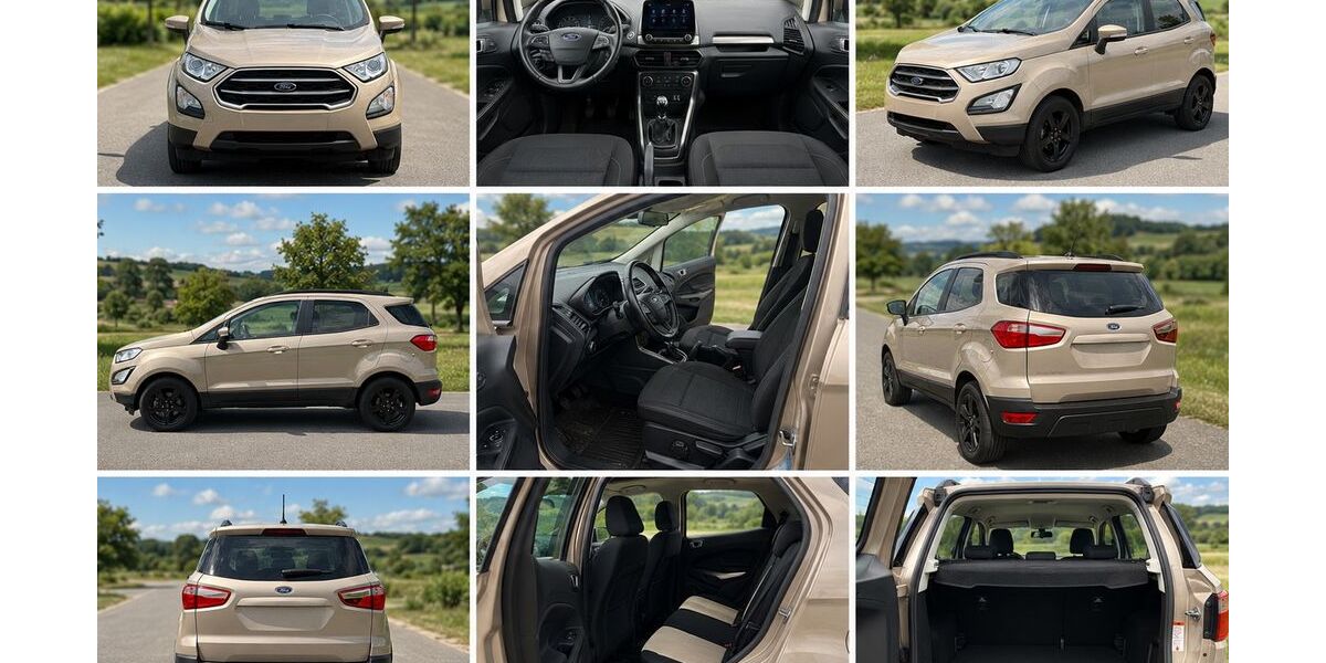 Ford EcoSport 50.000 km 11.990 &euro; Auerbach 09209