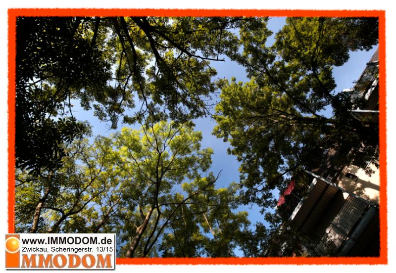 Erdgeschoßwohnung Zwickau Zwickau-Nord - 3 Zimmer, 78 m&sup2;, 460&euro; | Angebot:25414646