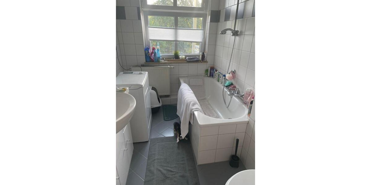Etagenwohnung Zwickau Zwickau-Nord - 2 Zimmer, 64 m&sup2;, 360&euro; | Angebot:24653538