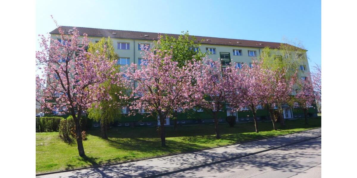 Etagenwohnung Limbach-Oberfrohna Oberfrohna - 3 Zimmer, 57 m&sup2;, 325&euro; | Angebot:23713804