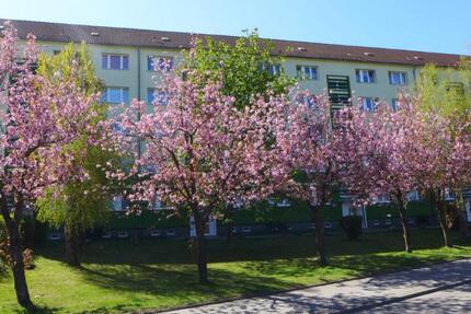 Wohnung Limbach-Oberfrohna Oberfrohna - 3 Zimmer, 57 m&sup2;, 325&euro; | Angebot:23713804