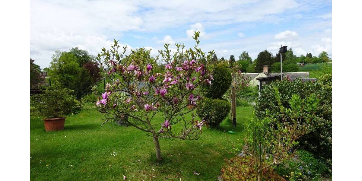 Einfamilienhaus Treuen - 4 Zimmer, 118 m&sup2;, 179.000&euro; | Angebot:26797928