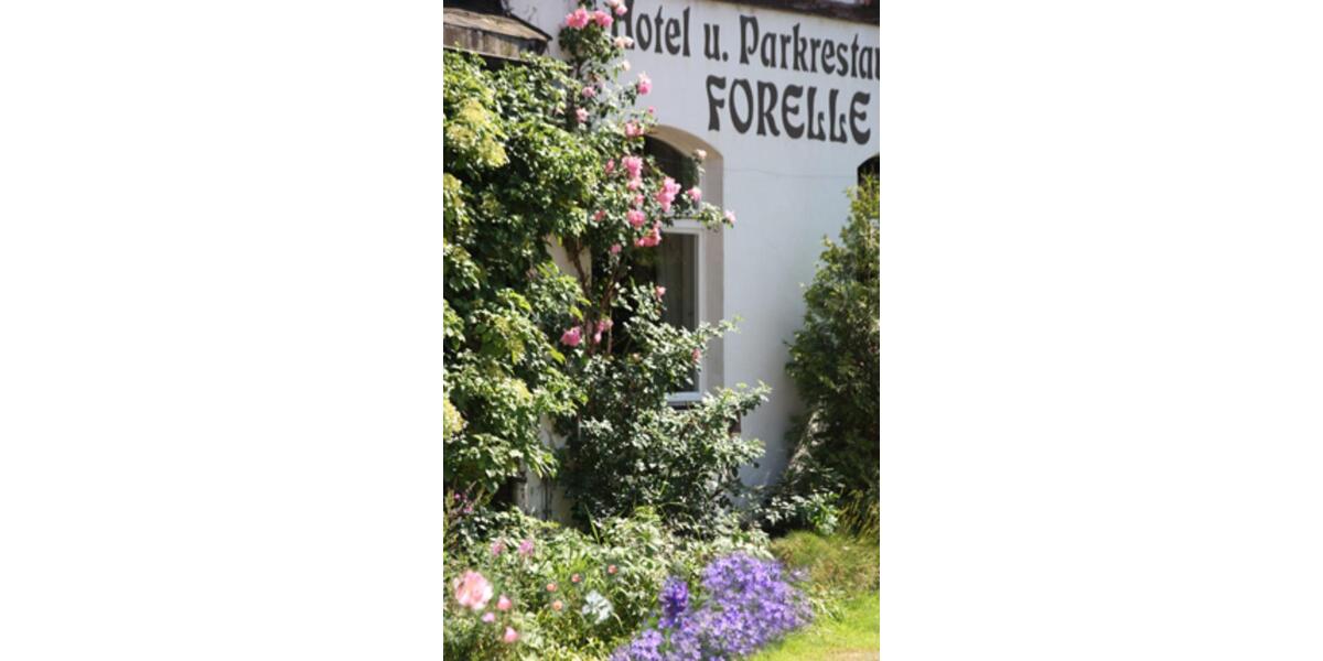 Mehrfamilienhaus, Wohnhaus Eibenstock - 116.000&euro; | Angebot:20982917