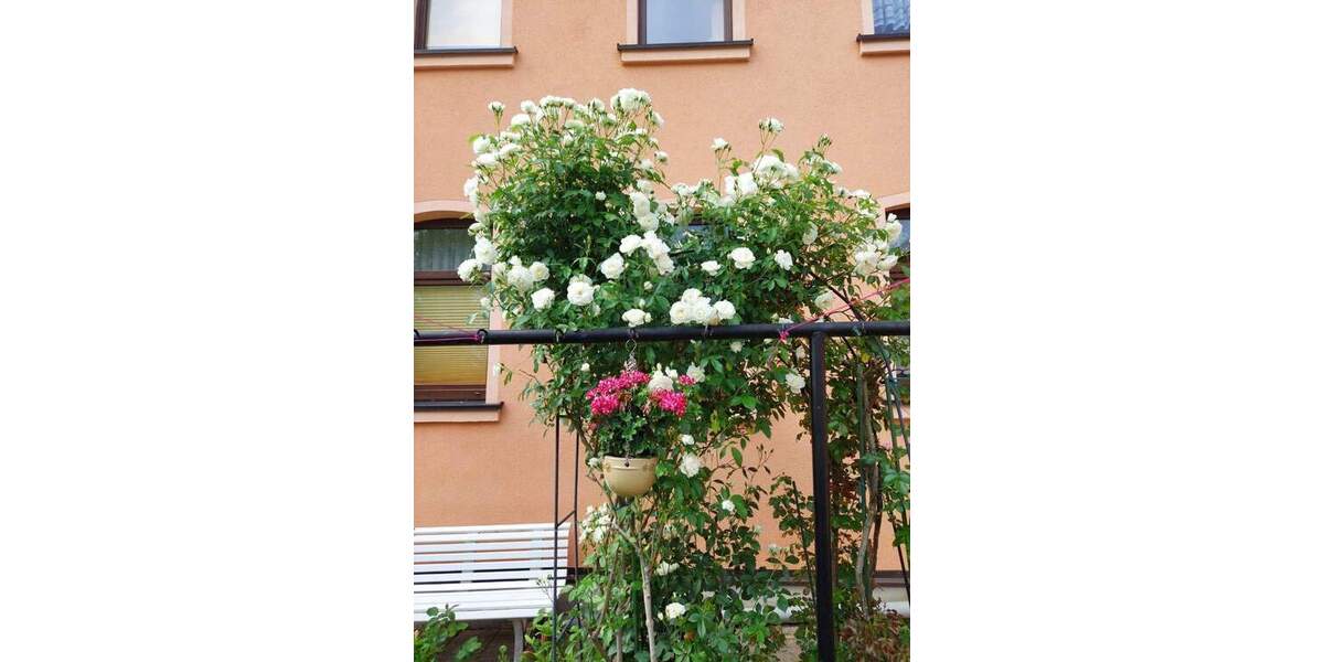 Einfamilienhaus Hohenstein-Ernstthal Ernstthal - 1 Zimmer, 227 m&sup2;, 149.000&euro; | Angebot:25745325